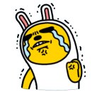 광블리 이미지