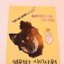 멍멍이 과자점 이미지