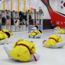 품 태권도 이미지