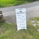 정서리 이미지