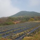 재호농장2 이미지