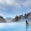 포레스트 이미지