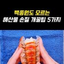 손쉬운 생선 손질법(새우, 조개, 전복, 오징어,랍스터) 이미지