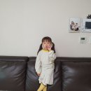 2020 봄신상 모이몰른에서 트위드 세트 구매했어요/구매후기