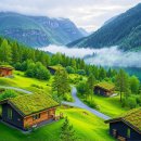 편안한 음악 • 정서적 웰빙, 깊은 휴식 및 편안한 수면을 위한 아름다운 멜로디 Tranquility Paradise 이미지