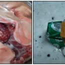 한마리통큰오리 이미지