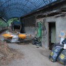 부부축사 이미지