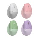 행복해질 개 | 내일은 분명 더 행복해질 겁니다