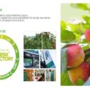 후레쉬 팩토리 이미지