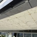 로이어즈타워 | 세종 로이어즈 타워 건물 거미줄 청소 후기