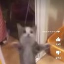 구구네일 - 아산시 중앙로 58 | 구구네일