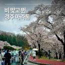 마라톤세탁소 | 경주 벚꽃마라톤 5km 후기 (비 오는 날 참가 후기)