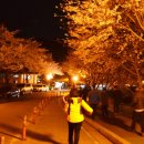 군산월명종합경기장실내체육관 이미지