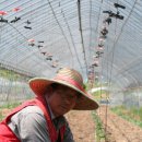 한가족농장 이미지