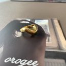 오로지(orogee) 이미지