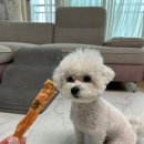 여시까까 이미지