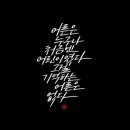 캘리그라피 이미지
