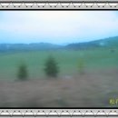 우리사슴목장 Daum카페