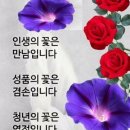 시편나라 네이버블로그