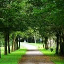 신출한의원 이미지