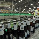 5000맥주 이미지