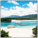 서부공설시장 | 4월5월 여행적기 오키나와 패키지 2박3일 노옵션 노쇼핑 노팁 일정