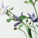 로그인계산점 이미지