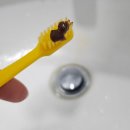 제니튼 검프로젝트 프로폴리치약 제니덴트 G칫솔