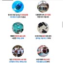 [보홀 1일차 2]보홀 오션 스쿨 나팔링 프리다이빙 체험후기 (광고아님/ 내돈내산)