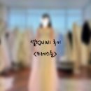 하남 셀럽비비 스튜디오 내부 드레스룸 후기