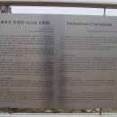 흥도초교 이미지