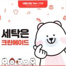 크린기획