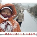 수일농장 이미지