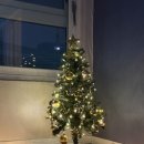 GS25 만안안양로점 | 모던하우스 크리스마스 트리 연말 신혼집 꾸미기