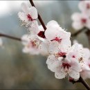 고령농장 이미지