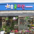 아름꽃화원 - 수원시 장안구 송정로168번길 2 | 아름꽃화원