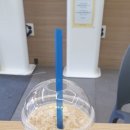 빽다방여의도역점