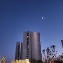 모와분식식당 | 아난티 부산 빌라쥬드 아난티앳빌라쥬 호텔 뷔페 식당 트리 후기