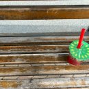 국립세종도서관 버스정류장 이미지