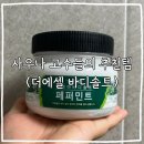 솔트 | 사우나 고수들의 추천템 더에셀 바디솔트 후기