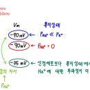 골격근 휴지막 전위 이미지