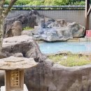 시티온천 이미지