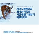 자연 다큐멘터리 감독 최기순의 사진 촬영 기획부터 마무리까지 | [1억뷰N잡] 자연 다큐멘터리 사진 촬영 기획부터 마무리까지 - 최기순감독