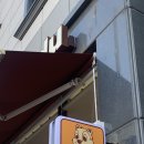 에나호두