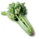 셀러리 이미지