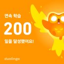 감먹은 토끼 | 일기 : 레고, 크리스마스, 실바니안 침대와 아빠토끼, 연말 공연들