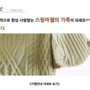 스윙마젤 이미지
