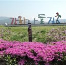 화도면-5 이미지