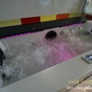 자라스파펜션 이미지