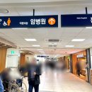 자궁내막암0기 병원 전원 결정 교수님의 명쾌한 답변